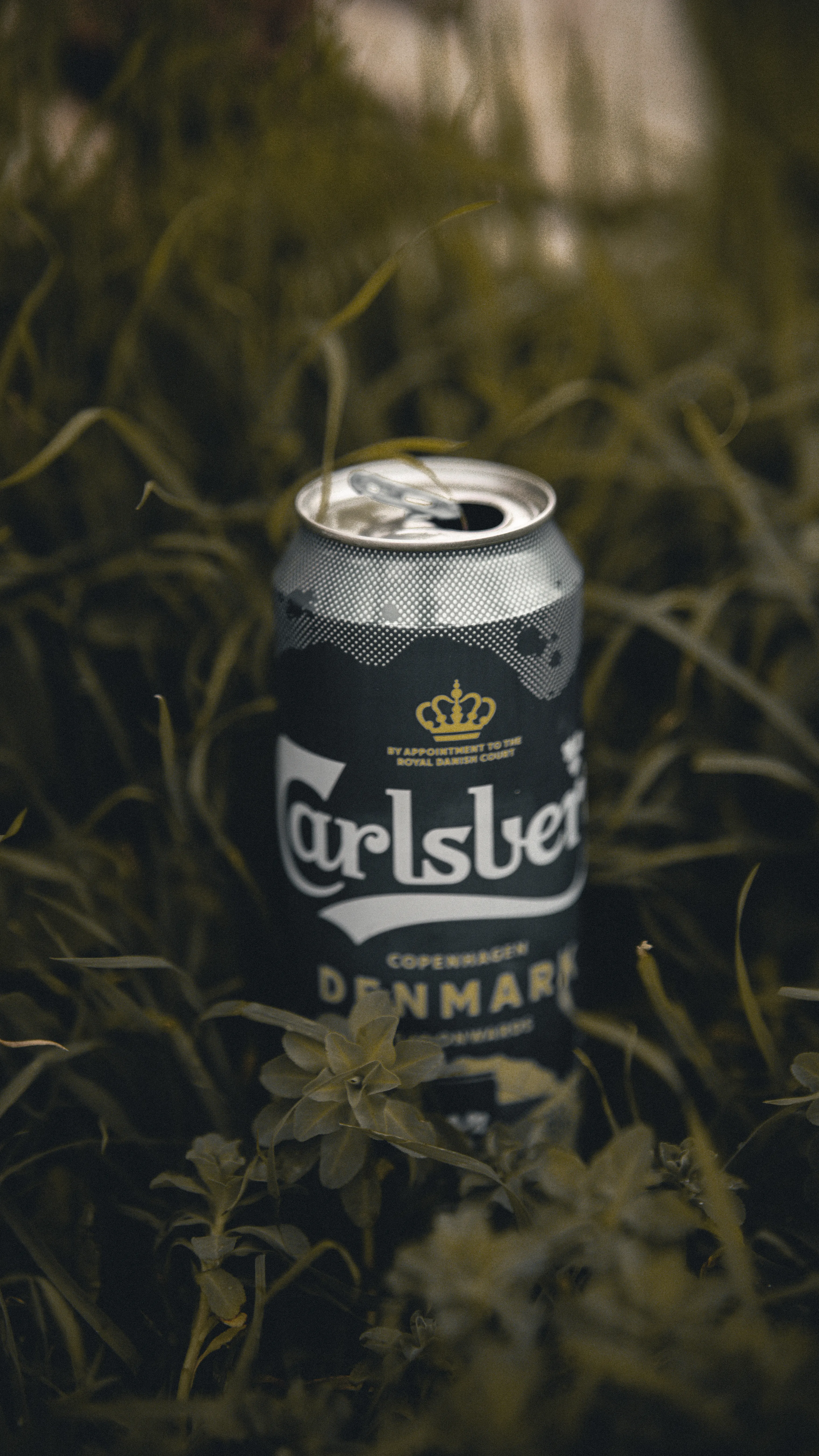 Carlsberg Pilsner 6pk Cans